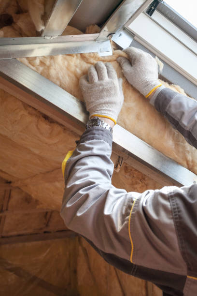 Best Insulation Contractors for Homes  in Grayling, MI
