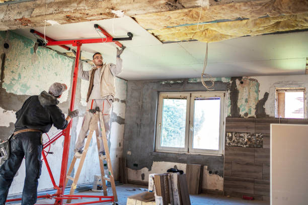 Best Insulation Replacement Services  in Grayling, MI
