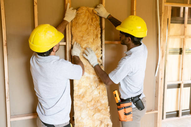 Best Residential Insulation Services  in Grayling, MI
